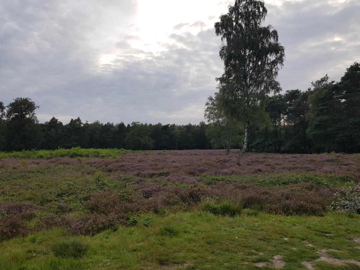 De Lindenhoeve Valthe Экстерьер фото